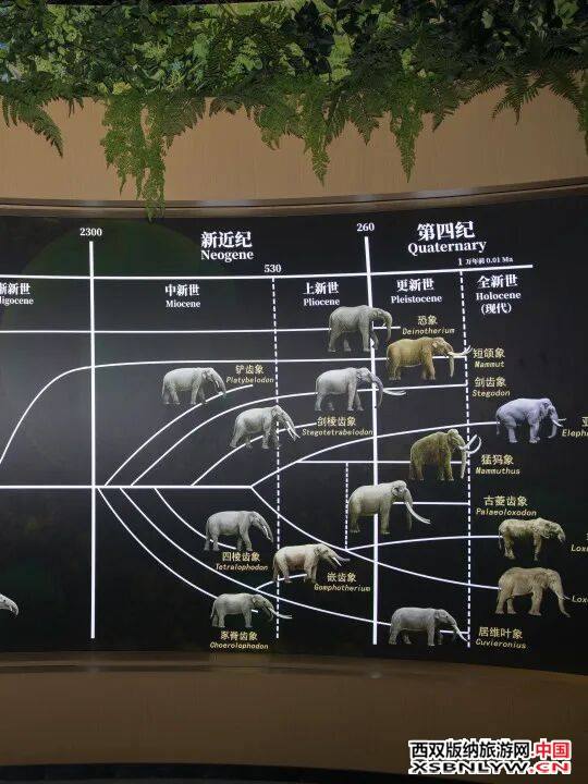图片关键词 图片关键词