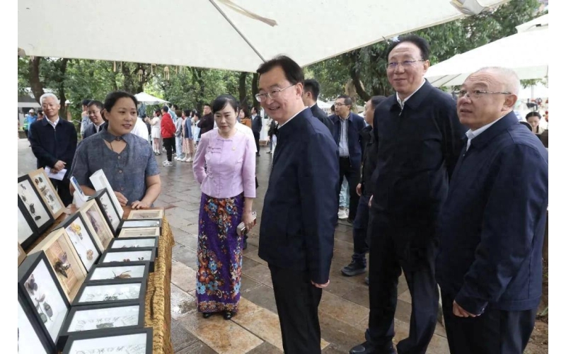 云南省委书记王宁赴西双版纳，与外省游客交流感受